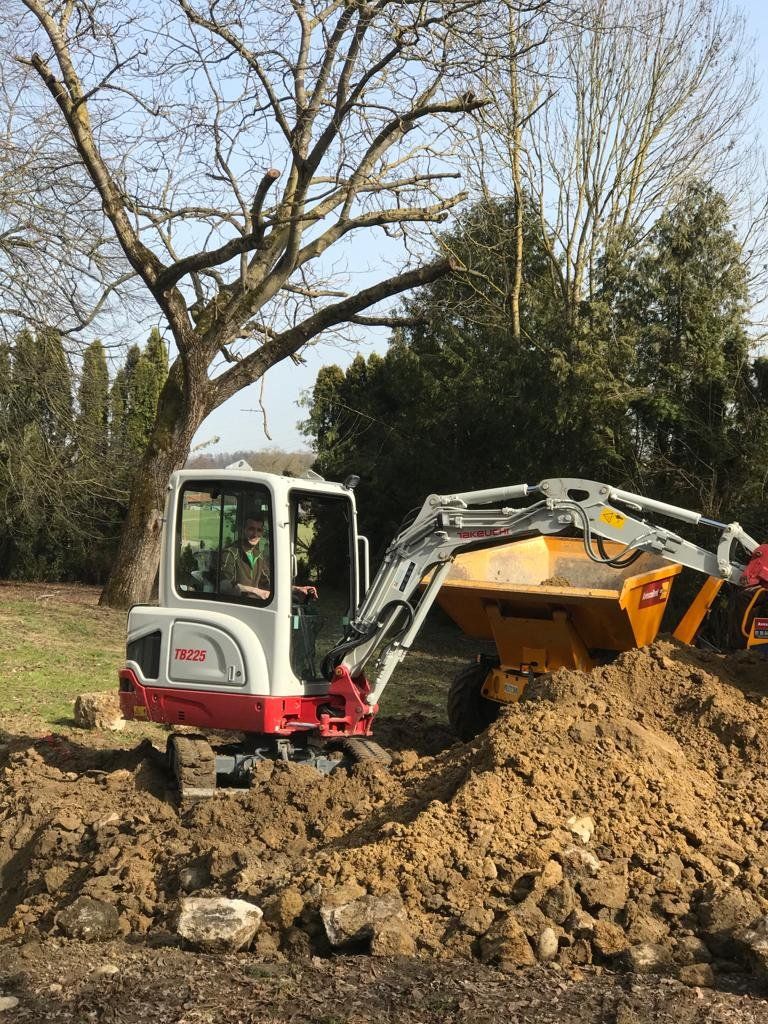 Bagger und Dumper unter einem Baum