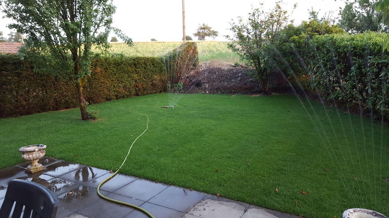 Derselbe Garten gemäht und gepflegt, mit Rasensprenger