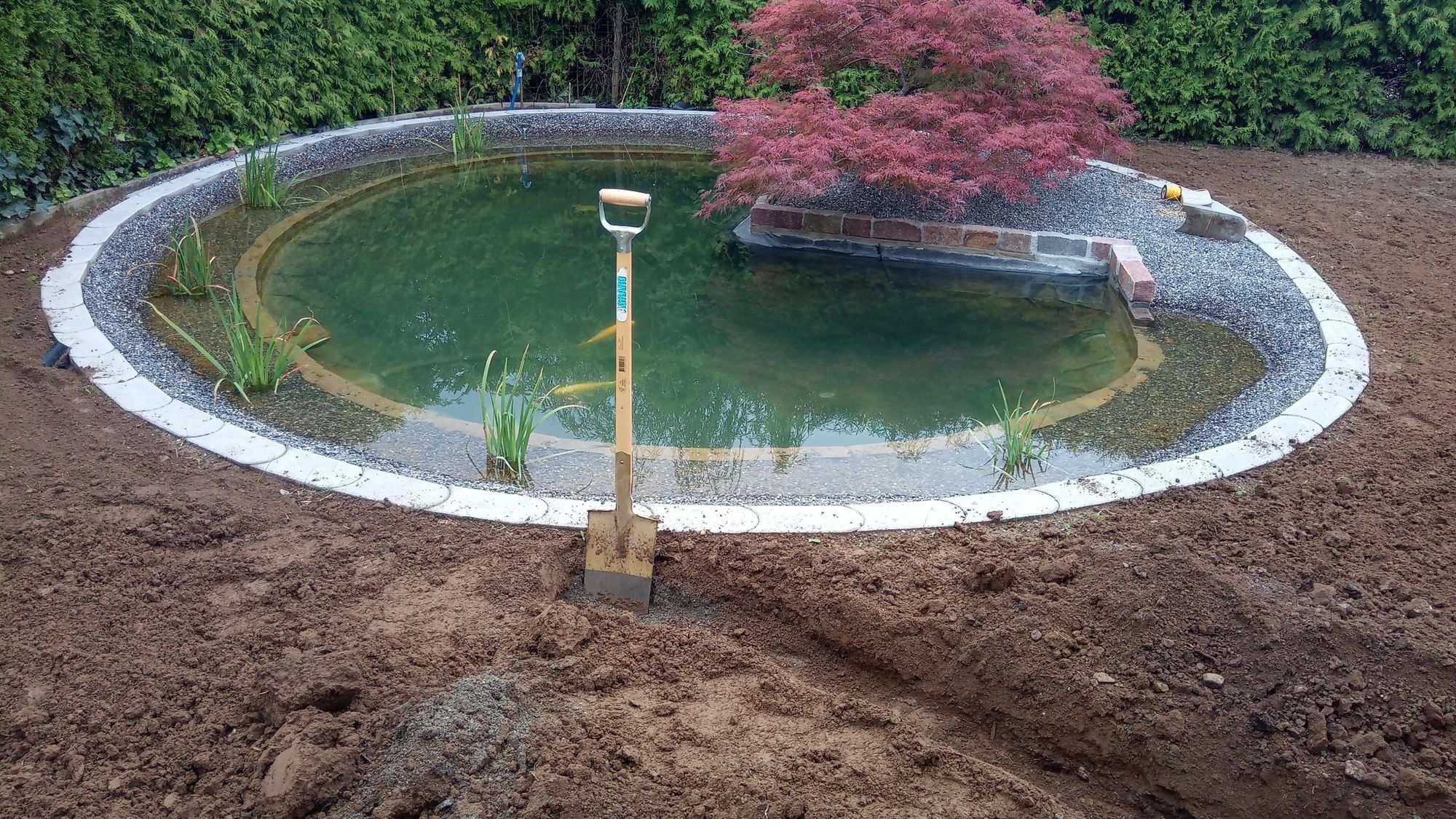 Fertig gefasster Teich mit rotem Fächerahorn